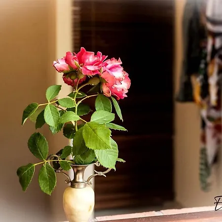 Casa Marylou Holiday home