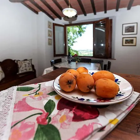 Casa Marylou Holiday home *